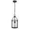 Z-Lite Barrington Pendant, 1-Light, 8.25 In.W x 17.5 In.H, Matte Black/Clear Waterglass 346P8-MB - alternate 8